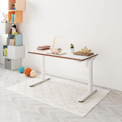 FlexiSpot SD1 elektromos állítható tanulóasztal, 100×60 cm (SD1W)