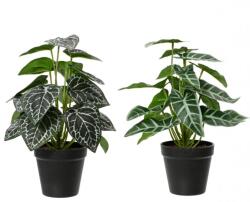  Szobafutóka műnövény, két változatban, 11x32 cm
