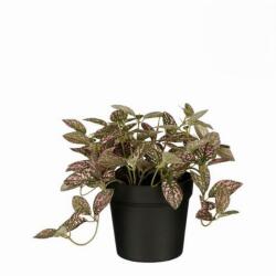 Mica Fittonia cserépben rózsaszín műnövény 16 x 16 cm