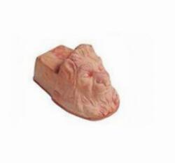  Piedino Testa Leone18