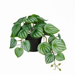 Mica Peperomia függő cserépben zöld műnövény 40 x 22 x 23 cm