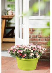 elho Corsica Door Stopper Lime Green