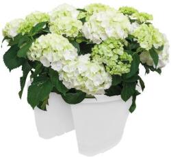 elho Corsica Door Stopper White