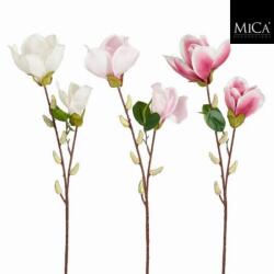 Magnolia művirág több változatban