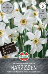 Sperli Premium Botanische Narzisse poeticus var. recurvus botanikai nárcisz virághagyma
