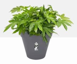 elho Loft Urban Round Wheels 50 cm Anthracit, műanyag kaspó