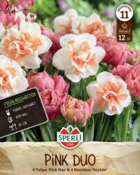 Sperli Frühlingsgarten Pink Duo tavaszi tulipán és nárcisz virághagyma keverék