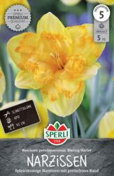 Sperli Premium Spleißkronige Narzisse Blazing Starlet hasadt koronájú nárcisz virághagyma