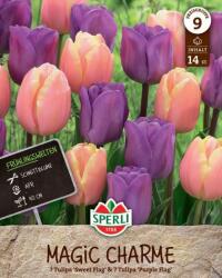 Sperli Frühlingsgarten Magic Charme tavaszi Triumph tulipán virághagyma keverék