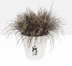 elho Loft Urban Round 20 White