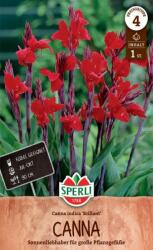 Sperli Brillant Kánna gumó