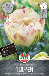 Sperli Premium Gefüllte Späte Tulpe Danceline kései teltvirágú tulipán virághagyma