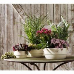 Soendgen Keramik Novara Tál Piros 20 cm kerámia kaspó