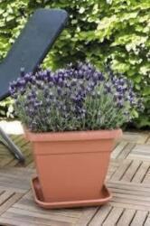 elho Torino Campana Square 40 Taupe