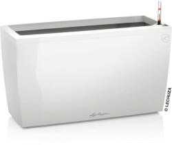 Lechuza Cararo kaspó