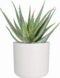 elho B. For Soft Round 25 White