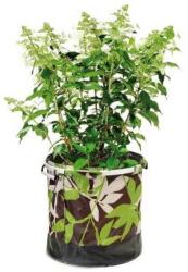 Scheurich Stylepot Jungle