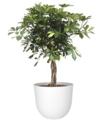 Artevasi Havana Natural 50 cm műanyag növénytartó Granite