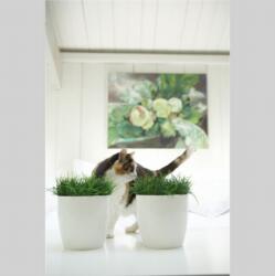 elho Brussels Diamond Round 22 cm White, műanyag kaspó