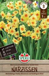 Sperli Poetaz-Narzisse Scarlet Gem nárcisz virághagyma