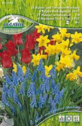 Pegasus Kübel- und Terrassen Mix virághagyma összeállítás