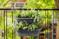 elho Corsica Vert Forest Large Set/2 Anth műanyag növénytartó