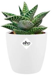 elho Brussels Round Mini 7 cm White műanyag kaspó