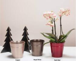 Scheurich Kaspó 662 Royal Shine 14 cm