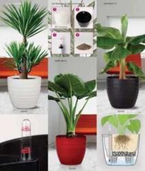 Scheurich 923 Dark Red / Lechuza 28 cm műanyag kaspó