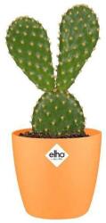 elho Brussels Round Mini 9 cm Sunrise Oran műanyag növénytartó