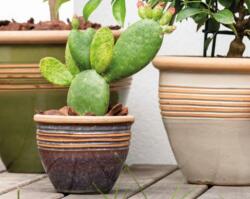 Deroma Vaso Romance set of 5 mix colori agyag növénytartó szett