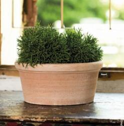 Deroma Ciotola Luna 26 cm agyag növénytartó