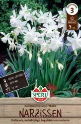 Sperli Engelstränen-Narzisse Thalia botanikai nárcisz virághagyma