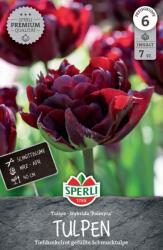 Sperli Premium Gefüllte Frühe Tulpe Palmyra korai teltvirágú tulipán virághagyma