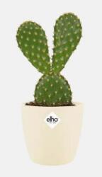 elho Brussels Round Mini 7 cm Soap műanyag kaspó