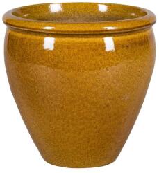 NDT Shanghai 11-01T 40/H40