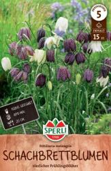 Sperli Schachbrettblume mocsári kockásliliom virághagyma