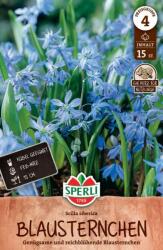 Sperli Sibirischer Blaustern csillagvirág virághagyma