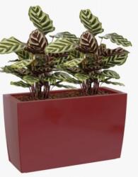 Artevasi Marbella 30/76 cm műanyag növénytartó Dark Red
