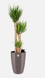 elho Brussels Diamond Round High 40 cm Oyste, műanyag kaspó