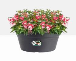 elho Green Basics Bowl 38 cm műanyag növénytartó Living Black