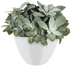 elho Brussels Diamond Oval High 36 White