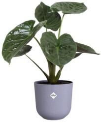 elho jazz round 23cm műanyag növénytartó