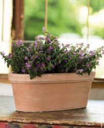 Deroma Ciotola Etrusco 28 cm agyag növénytartó