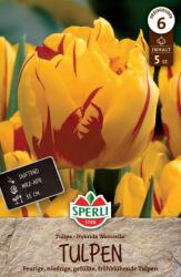 Sperli Gefüllte Frühe Tulpe Monsella korai teltvirágú tulipán virághagyma