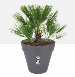 elho Loft Urban Round Wheels 60 cm Anthracit, műanyag kaspó