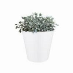 elho Pure Straight Round 50 cm műanyag növénytartó White