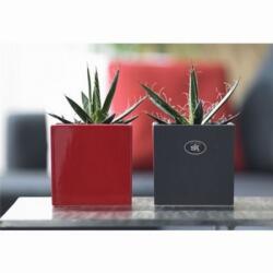 Soendgen Keramik Latina Sh Bordeaux 21