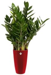 elho Brussels Diamond Round High 40 cm Lovel, műanyag