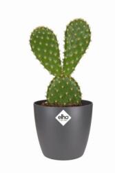 elho Brussels Round Mini 12, 5 cm Anthracite műanyag kaspó